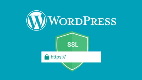Install WP SSL and Monitoring (One Time Fee)